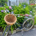 Nantucket Cannabis