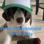 Cannabis Near me Ack Natural Nantucket