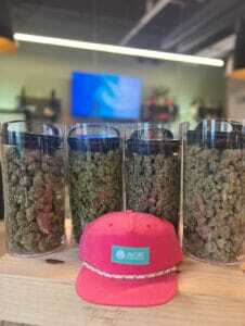 cannabis buds with trichomes